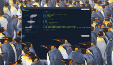 I spent a year on Linux and forgot to miss Windows
