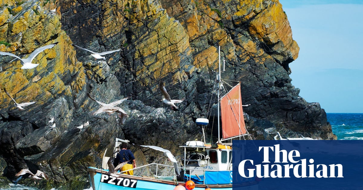 Supermarkets could help UK shoppers eat more sustainable local fish – study | Fish
