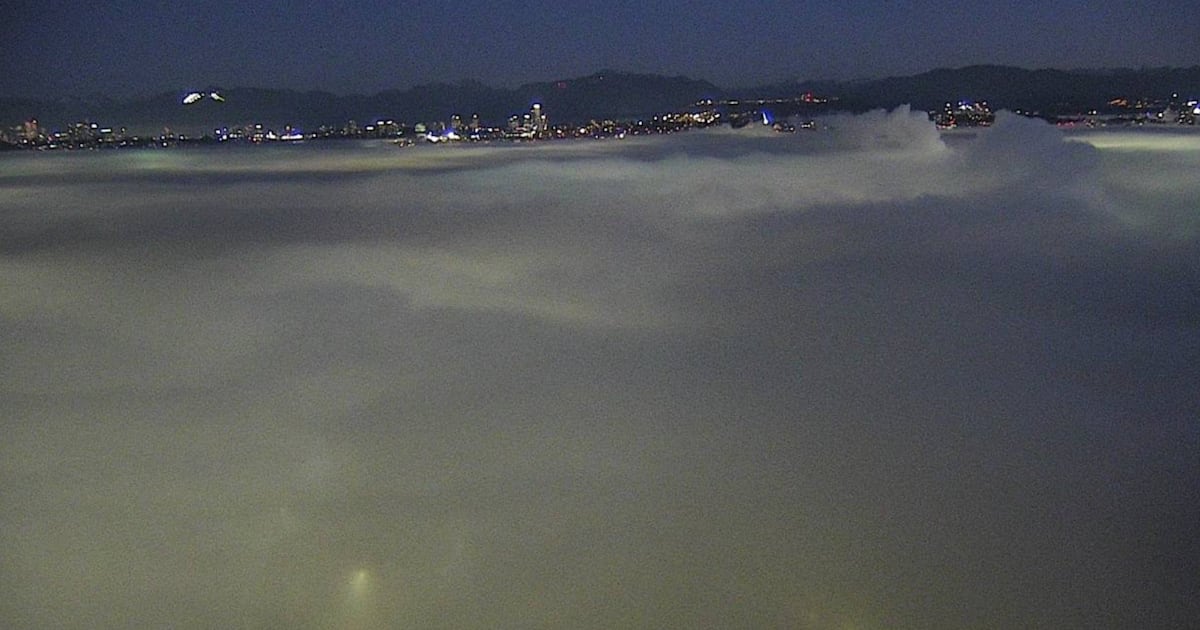 ‘Zero-visibility’ fog advisory issued in Metro Vancouver - CTV News