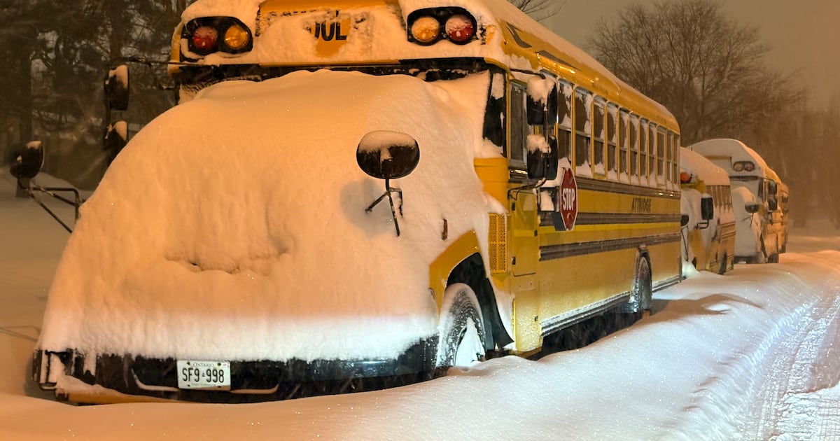 School closed, buses cancelled on Monday