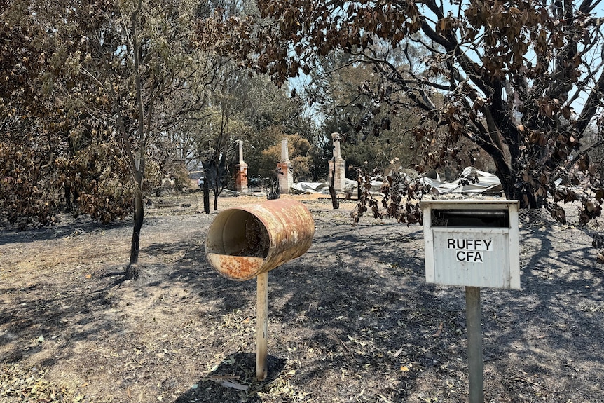 ruins of a home in among trees with two mailboxes in the foreground