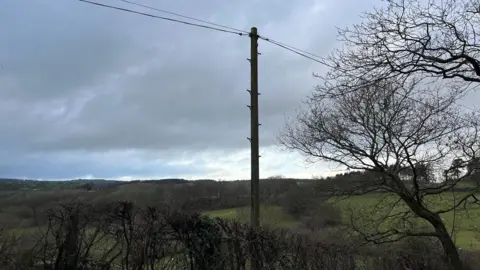 BBC A telephone mast stands in a field, behind a bare hedgerow and next to a tree. The landscape rises behind the mast, with trees on the horizon under an overcast sky.