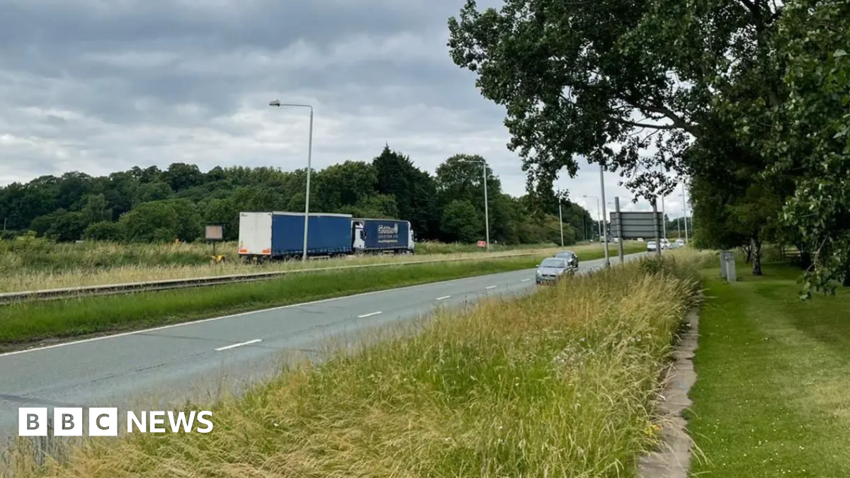 The A52, a duel carriageway with green sidings
