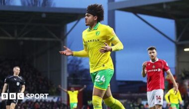 Wrexham 1-2 Norwich City: Resurgent Canaries end Red Dragons' winning run