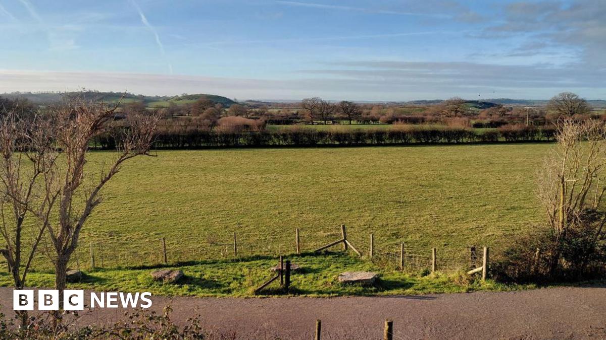 A green plane of countryside divided up by hedgerows and fences beneath a blue sky.