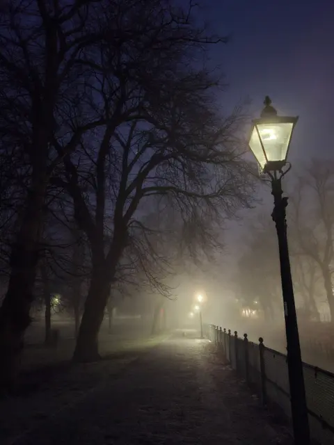 Kim Bennett A foggy street with trees, lit only by a street lamp among the darkness