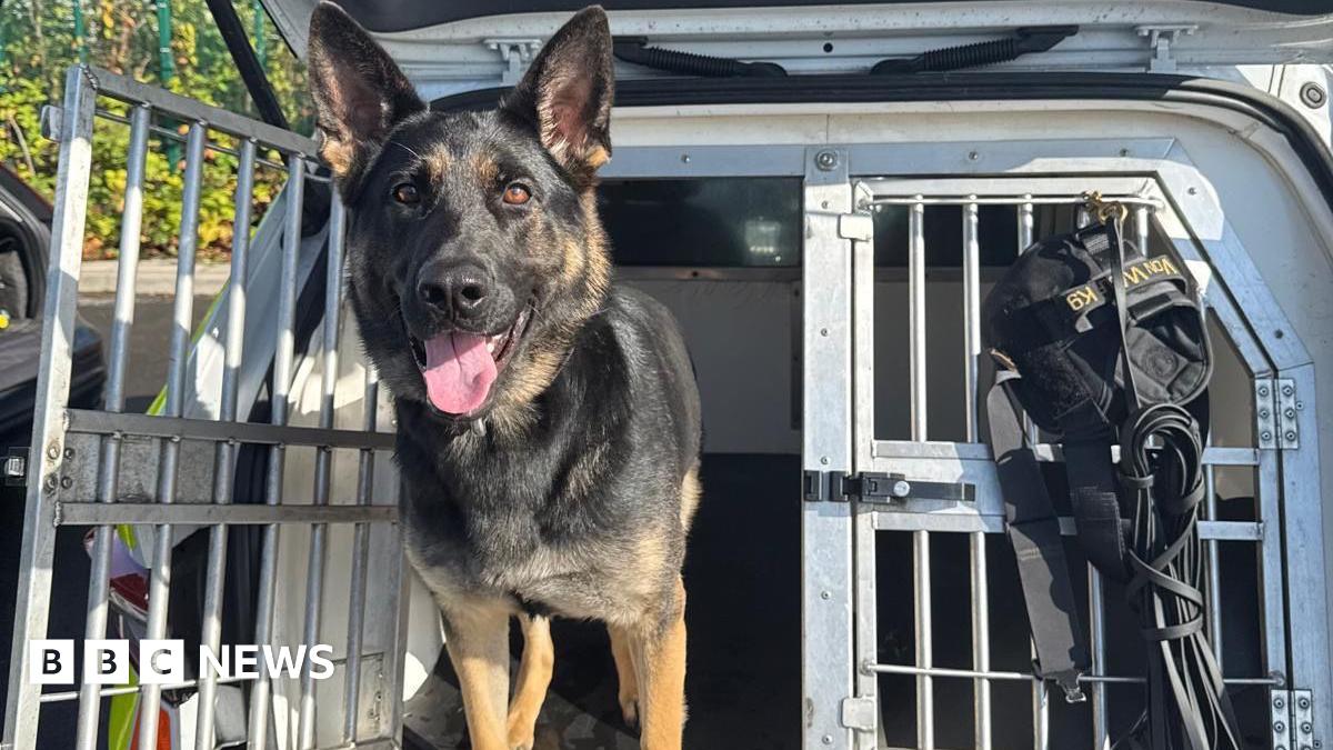 Millie Bobby Brown and David Harbour in character as Eleven and Jim Hopper. Eleven wears red shorts over grey leggings and a grey jumper. Jim Hopper wears a black leather jacket, a black beanie hat and dark trousers.They are speaking to director Frank Darabont on the set of Stranger Things. There is a vintage advertisement posted in the background with debrief on the ground.