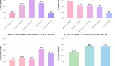 Prevalence of plastic waste as a household fuel in low-income communities of the Global South