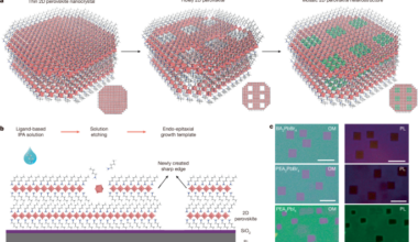 Mosaic lateral heterostructures in two-dimensional perovskite