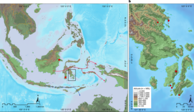 Rock art from at least 67,800 years ago in Sulawesi