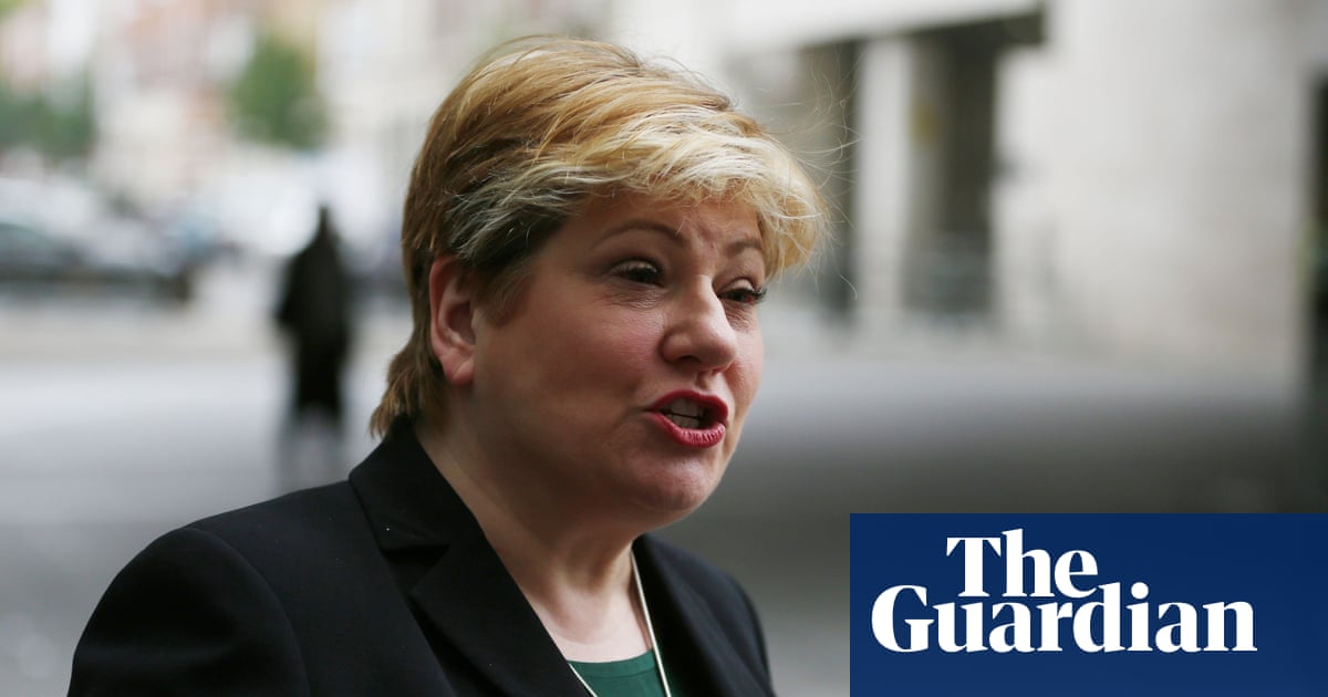 UK ministers accused of ‘embarrassing failures’ in Abd el-Fattah case | Home Office