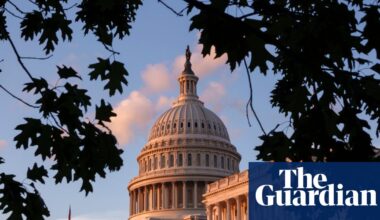 Senate Democrats urged to demand ‘real reforms’ over ICE funding bill | Democrats