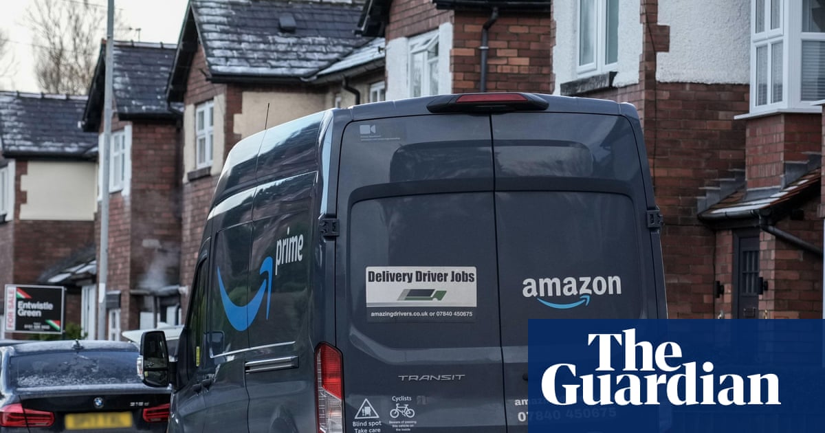 Amazon ‘cat burglar’ filmed stealing pet from Yorkshire doorstep | Cats