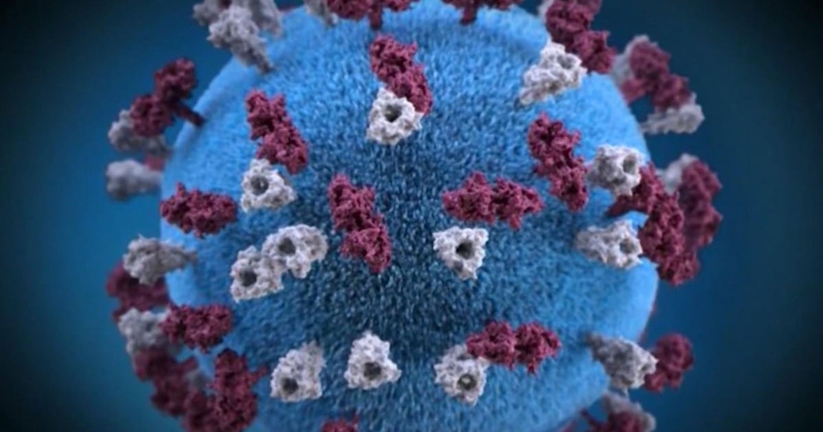 MPI temporarily closes service centre following measles exposure - CTV News