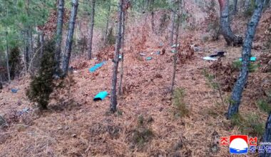 North Korea's Kim Yo Jong urges South Korea to investigate drone incidents