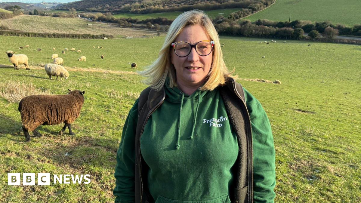 A blond woman with glasses and a green jacket in a large field with sheep behind her
