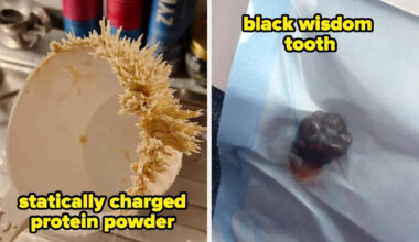 Yahoo lifestyle home