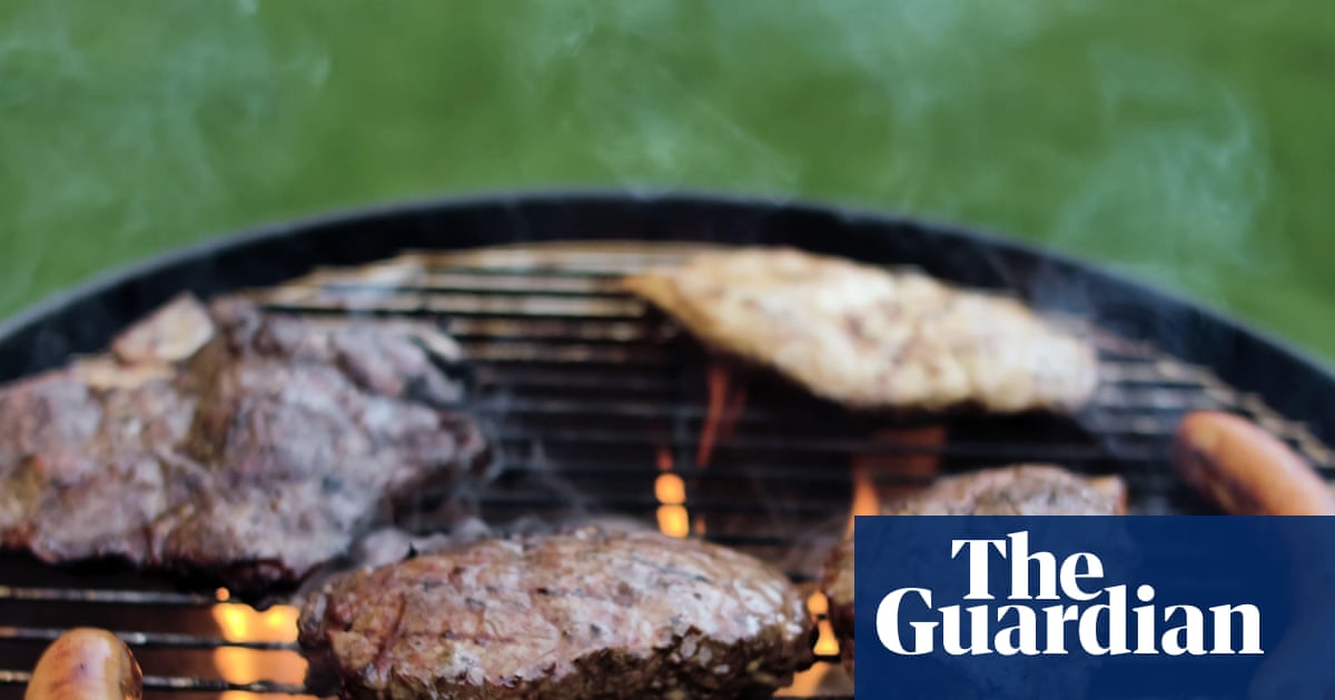 ‘Humanity’s favourite food’: how to end the livestock industry but keep eating meat | Meat industry