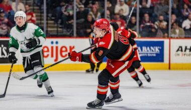 Grand Rapids Griffins | Coming Up Short