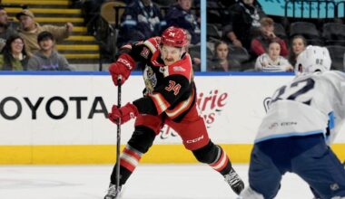 Grand Rapids Griffins | Sunk Our Battleship