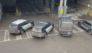 Apparent shooting at West Edmonton Mall under investigation: police - CTV News