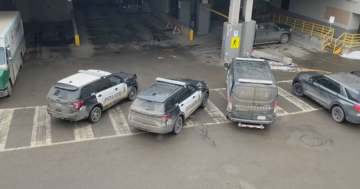 Apparent shooting at West Edmonton Mall under investigation: police - CTV News