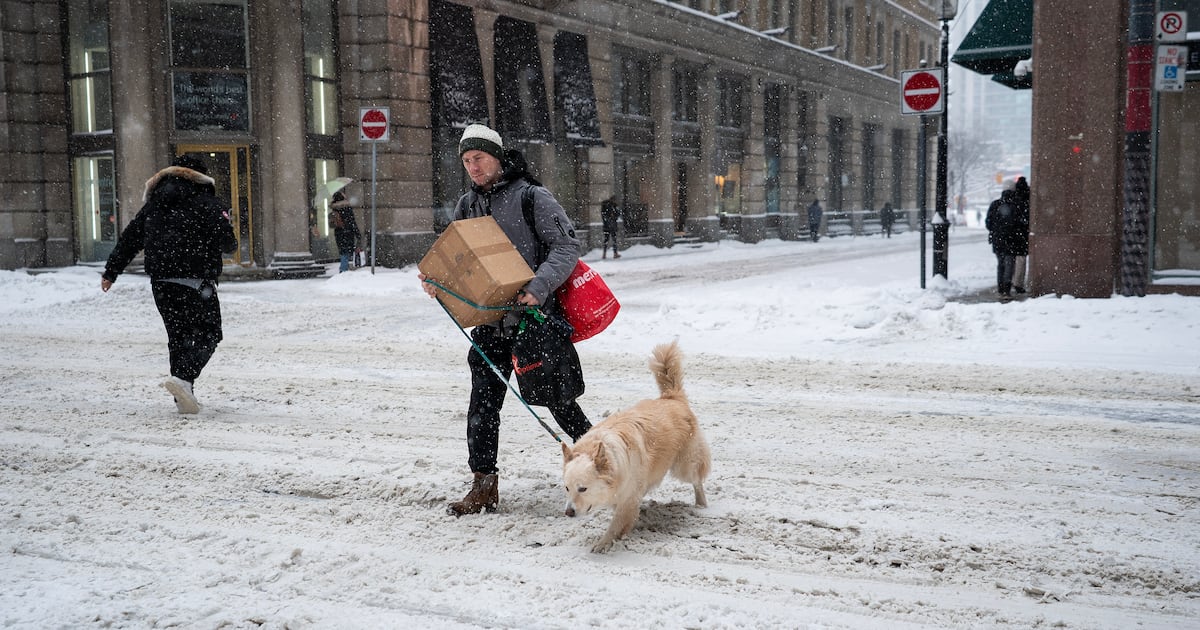Toronto snowstorm shuts down Finch West LRT