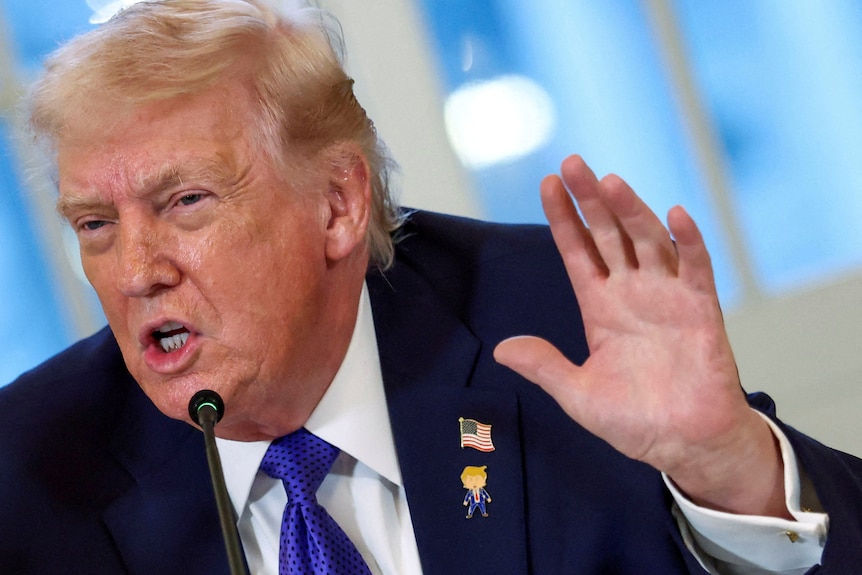 Donald Trump speaking into a microphone while holding up his hand.