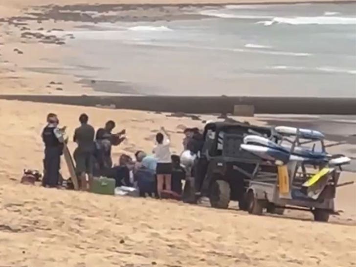 011926_sydney_shark_attack_primary_v2