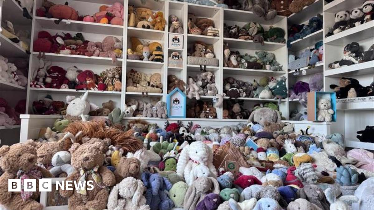 A room filled with hundreds of stuffed soft toys, ranging from bunnies to egg cups and pandas.