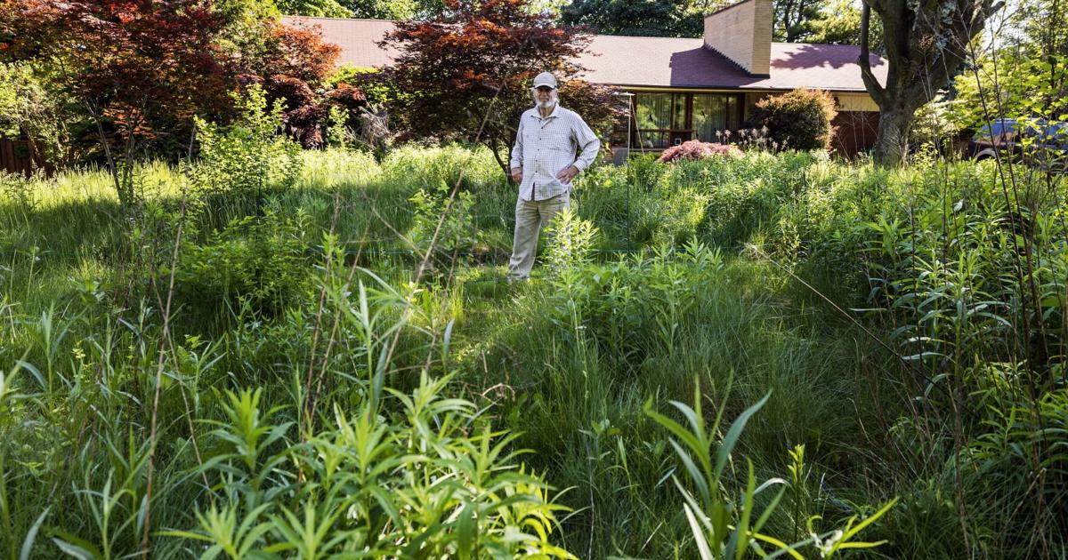 Mississauga bylaw governing tall grass violates freedom of expression rights, court rules - Toronto Star