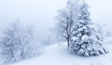 Met Office issues new weather warnings for 20 UK regions - full list | Weather | News