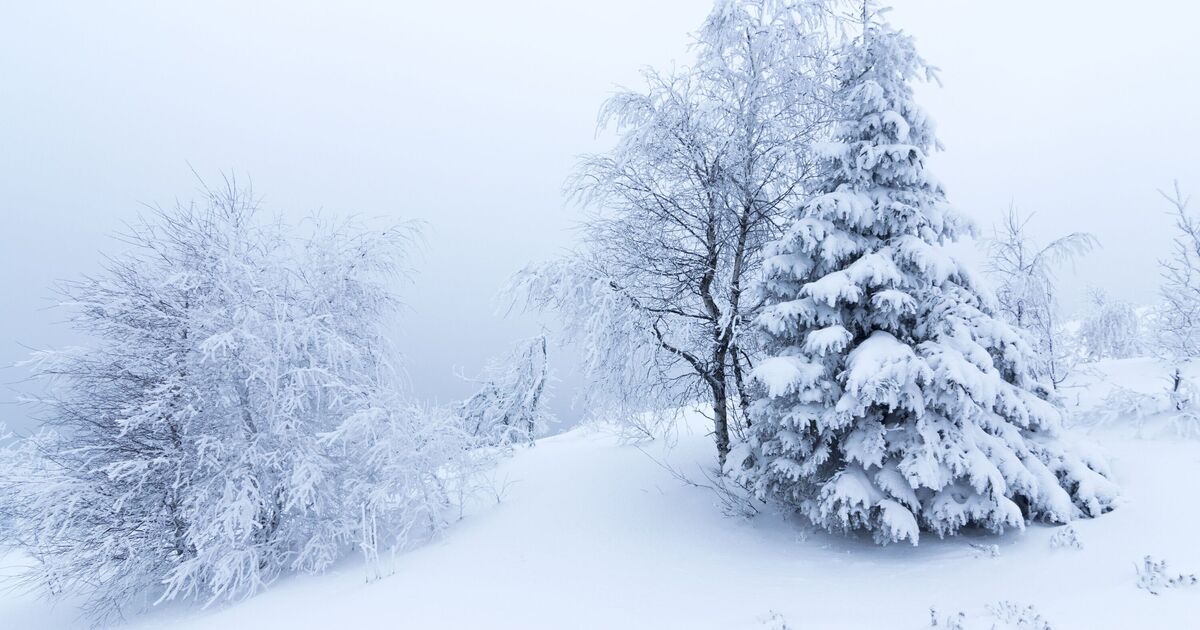 Met Office issues new weather warnings for 20 UK regions - full list | Weather | News