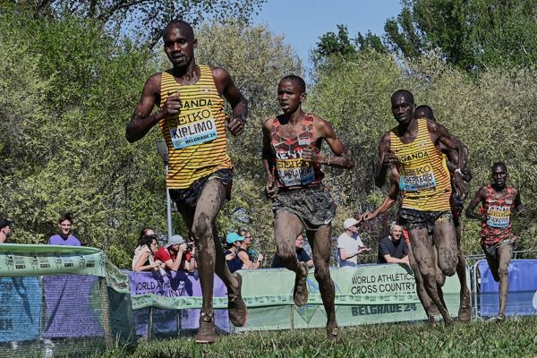 Entry lists for World Athletics Cross Country Championships Tallahassee 26 published | News | Tallahassee, FL 26