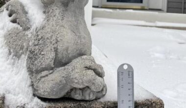 Preliminary snow totals from around Northern Virginia | Headlines