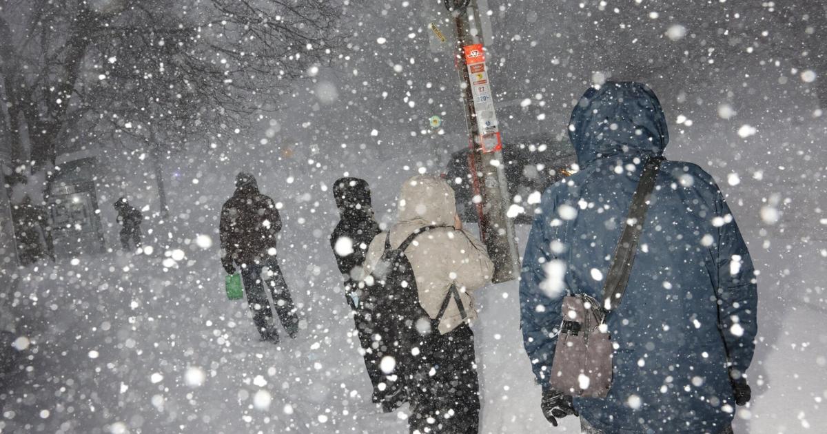 Snowstorm by the numbers: Pearson breaks daily snowfall record; Toronto gets 2 feet - mississauga.com