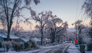 Rumors, Misinformation Add to Ice Storm Chaos | Pith in the Wind | Nashville News