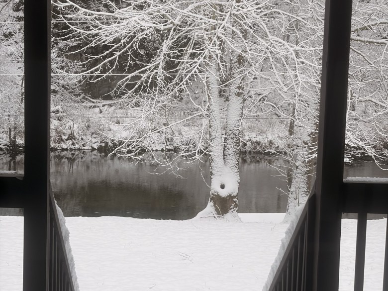 Snow creates a scenic scene along Walker Creek back in early December. Similar scenes with potentially deeper snow are expected this coming weekend. Photo by Laura Kebede-Twumasi.