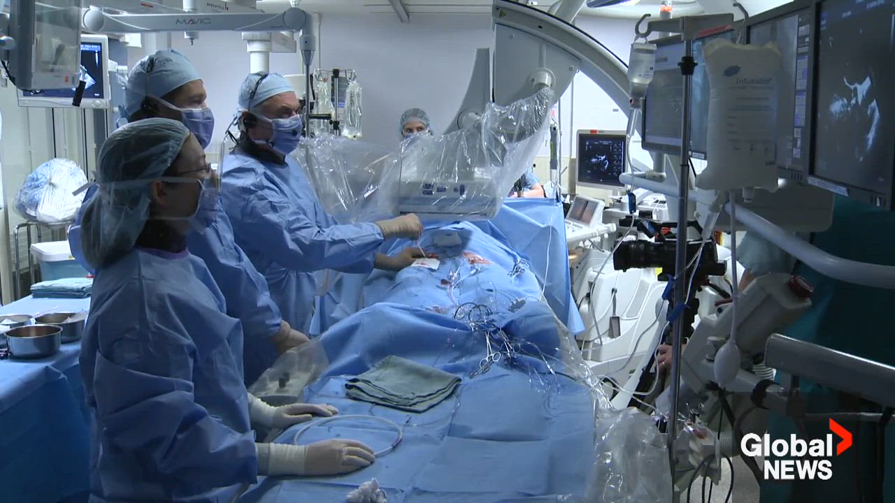 Click to play video: 'Will Alberta’s public-private health approach reduce wait times? A deeper look into dual-model practice'