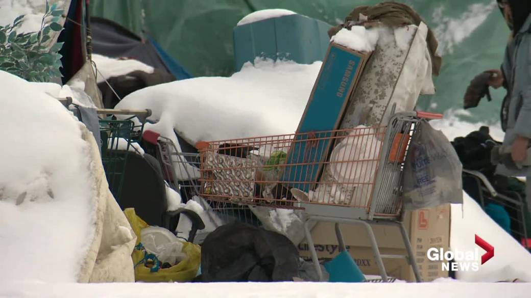 Click to play video: 'Opioids, frostbite blamed for homeless ER visits: Report'