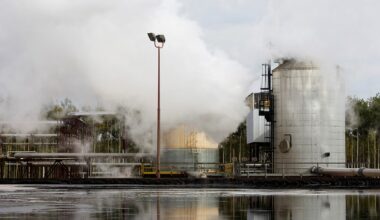 Venezuelan oil priced at a premium to competing Canadian barrels for US Gulf Coast refiners, traders say