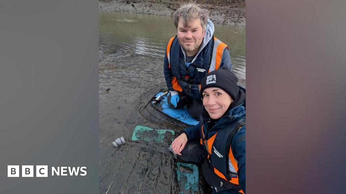 A palm holding a green seagrass plant. It is tied to a silver bolt to tether it to the frame in an effort to prevent it from being washed away while it gets established.