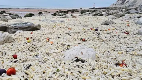 Joel Bonnici Thousands of chips covering a section of a beach. There are plastic bags and onions as well.