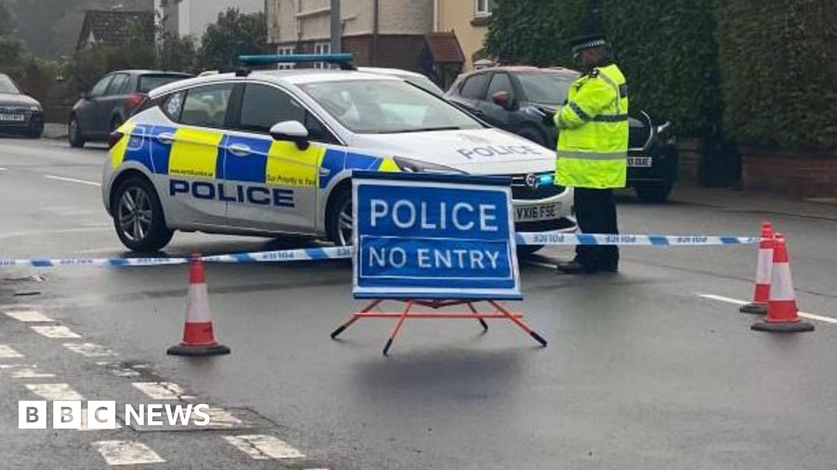 A police car and a police officer by a closed road, with a blue police sign placed on the road. There are red and white traffic cones and tape across the road. Other cars are in the street and a row of houses, to the right. There are also green bushes to the right.