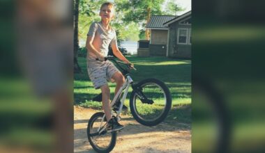 N.S. RCMP confirms breed of dogs that fatally attacked 13-year-old boy - CTV News