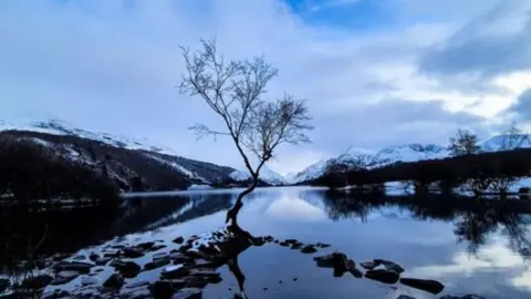 Instagram/ Madimiza_hikes The Lonely Tree reflected in the lake. It is a dark winter scene, with snow-covered mountains beyond and the cloudy sky reflected in the water. 