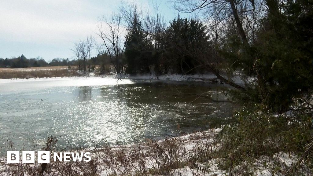 Three brothers die after falling in frozen Texas pond - BBC