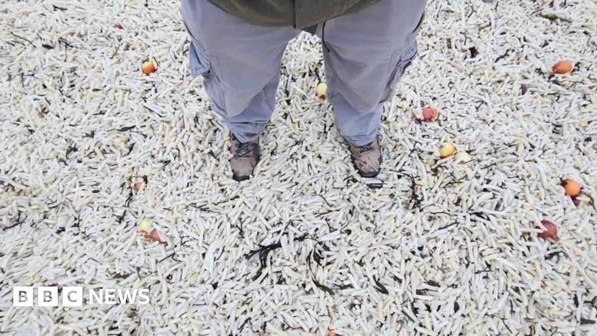 A man standing in thousands of chips.