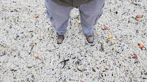 Joel Bonnici A man standing in thousands of chips.