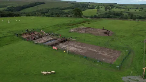 The Vindolanda Trust Aerial view of rectangular dig site amid green fields and sheep.